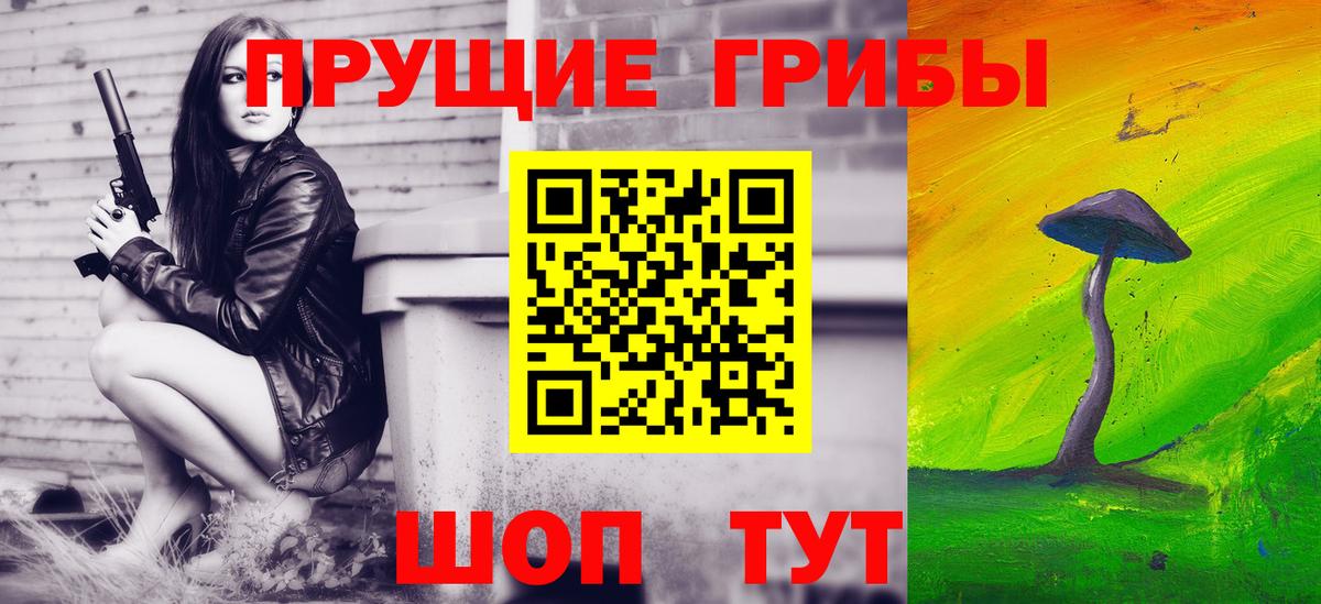 Кропоткин  Псилоцибиновые грибы мухоморы  Вход с VPN 